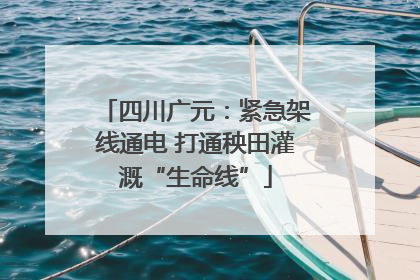 四川广元：紧急架线通电 打通秧田灌溉“生命线”