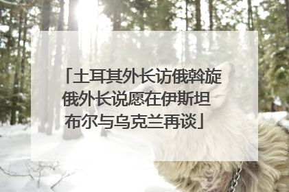 土耳其外长访俄斡旋 俄外长说愿在伊斯坦布尔与乌克兰再谈