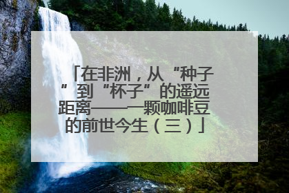 在非洲，从“种子”到“杯子”的遥远距离——一颗咖啡豆的前世今生（三）