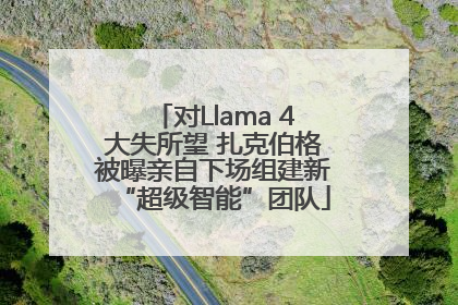 对Llama 4大失所望 扎克伯格被曝亲自下场组建新“超级智能”团队