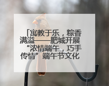 寓教于乐，粽香满溢——肥城开展“浓情端午，巧手传情”端午节文化主题活动