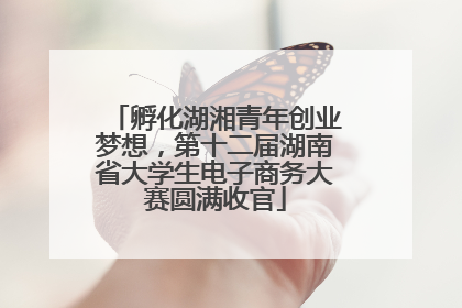 孵化湖湘青年创业梦想，第十二届湖南省大学生电子商务大赛圆满收官