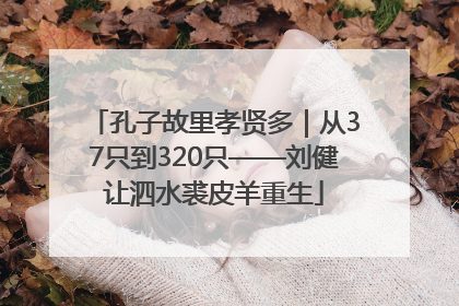 孔子故里孝贤多｜从37只到320只——刘健让泗水裘皮羊重生