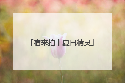 宿来拍丨夏日精灵