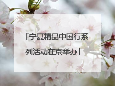 宁夏精品中国行系列活动在京举办
