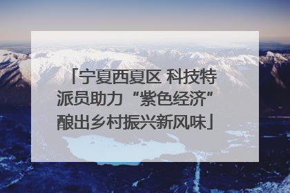 宁夏西夏区 科技特派员助力“紫色经济”酿出乡村振兴新风味