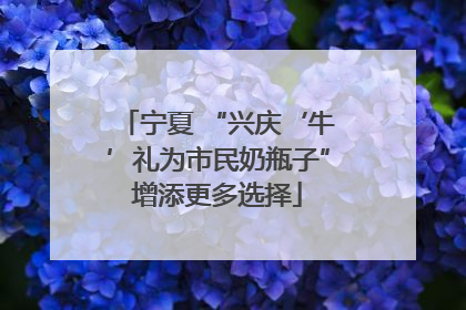 宁夏 “兴庆‘牛’礼为市民奶瓶子”增添更多选择