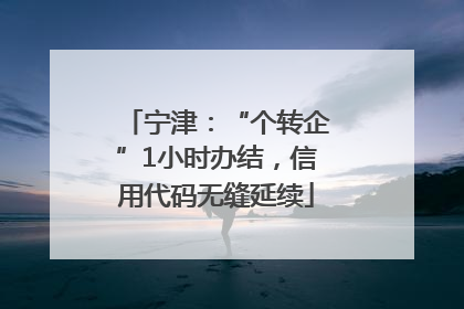 宁津：“个转企”1小时办结，信用代码无缝延续