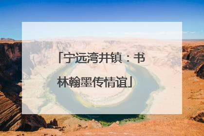 宁远湾井镇：书林翰墨传情谊