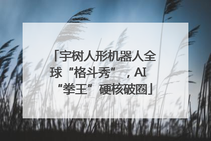 宇树人形机器人全球“格斗秀”，AI“拳王”硬核破圈