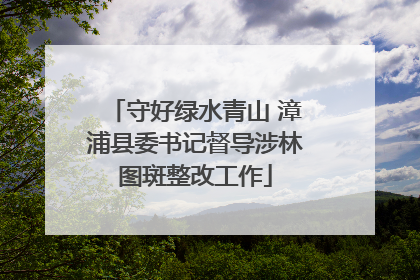 守好绿水青山 漳浦县委书记督导涉林图斑整改工作