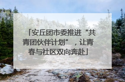 安丘团市委推进“共青团伙伴计划”，让青春与社区双向奔赴