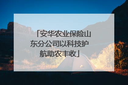 安华农业保险山东分公司以科技护航助农丰收