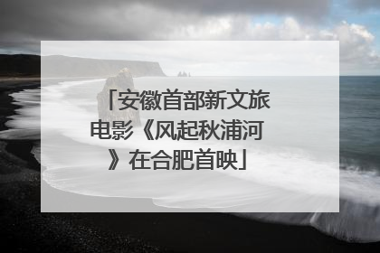 安徽首部新文旅电影《风起秋浦河》在合肥首映