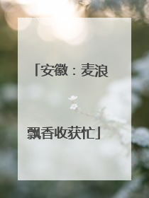 安徽：麦浪飘香收获忙