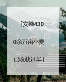 安徽4300余万亩小麦已收获过半