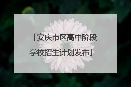 安庆市区高中阶段学校招生计划发布