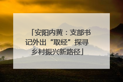 安阳内黄：支部书记外出“取经”探寻乡村振兴新路径