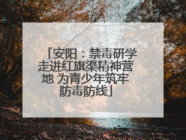安阳：禁毒研学走进红旗渠精神营地 为青少年筑牢防毒防线