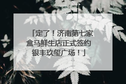 定了！济南第七家盒马鲜生店正式签约银丰玖玺广场！
