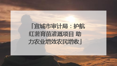 宜城市审计局：护航红薯育苗灌溉项目 助力农业增效农民增收