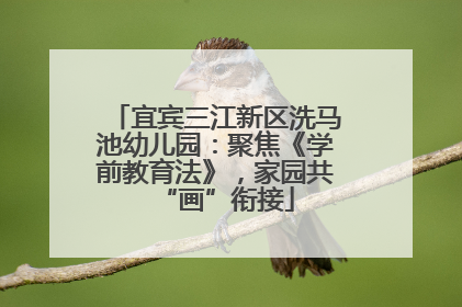 宜宾三江新区洗马池幼儿园：聚焦《学前教育法》，家园共“画”衔接