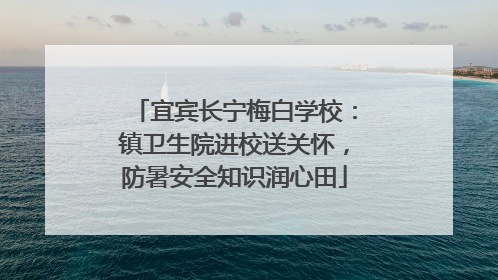 宜宾长宁梅白学校：镇卫生院进校送关怀，防暑安全知识润心田