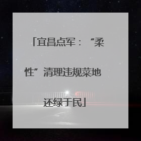 宜昌点军：“柔性”清理违规菜地 还绿于民