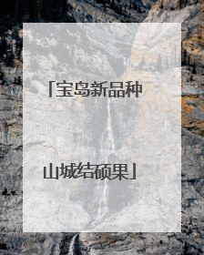 宝岛新品种 山城结硕果
