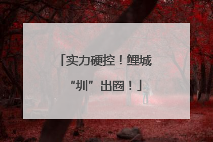 实力硬控！鲤城“圳”出圈！