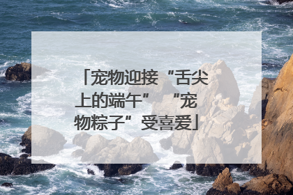 宠物迎接“舌尖上的端午” “宠物粽子”受喜爱