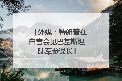 外媒：特朗普在白宫会见巴基斯坦陆军参谋长
