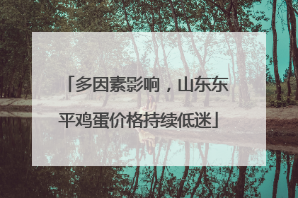 多因素影响，山东东平鸡蛋价格持续低迷