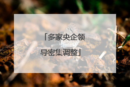 多家央企领导密集调整