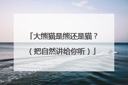 大熊猫是熊还是猫？（把自然讲给你听）