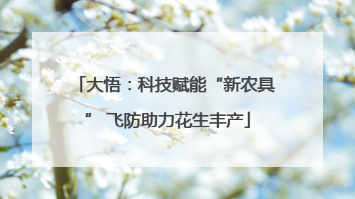 大悟：科技赋能“新农具” 飞防助力花生丰产