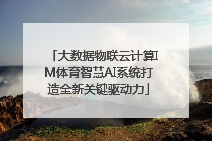 大数据物联云计算IM体育智慧AI系统打造全新关键驱动力