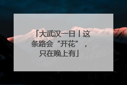 大武汉一日丨这条路会“开花”，只在晚上有