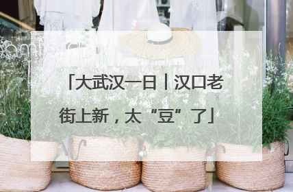 大武汉一日︱汉口老街上新，太“豆”了