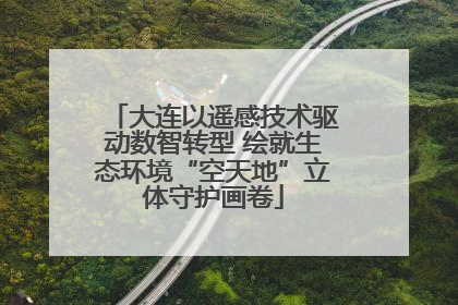 大连以遥感技术驱动数智转型 绘就生态环境“空天地”立体守护画卷