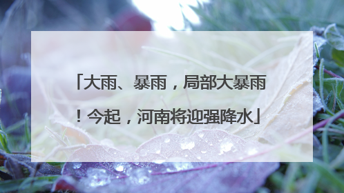 大雨、暴雨，局部大暴雨！今起，河南将迎强降水