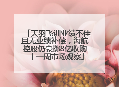 天羽飞训业绩不佳且无业绩补偿，海航控股仍豪掷8亿收购丨一周市场观察