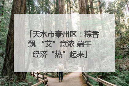 天水市秦州区：粽香飘 “艾”意浓 端午经济“热”起来
