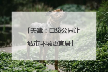 天津：口袋公园让城市环境更宜居
