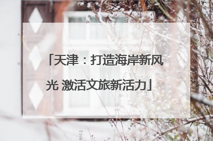 天津：打造海岸新风光 激活文旅新活力
