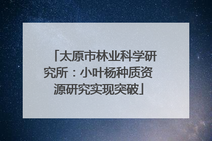 太原市林业科学研究所：小叶杨种质资源研究实现突破