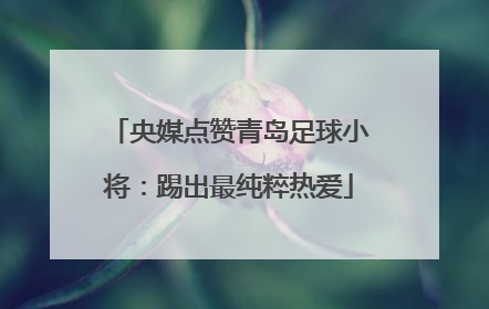 央媒点赞青岛足球小将：踢出最纯粹热爱
