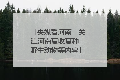 央媒看河南｜关注河南夏收夏种 野生动物等内容