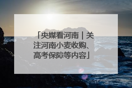 央媒看河南｜关注河南小麦收购、高考保障等内容