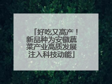 好吃又高产！新品种为安徽蔬菜产业高质发展注入科技动能